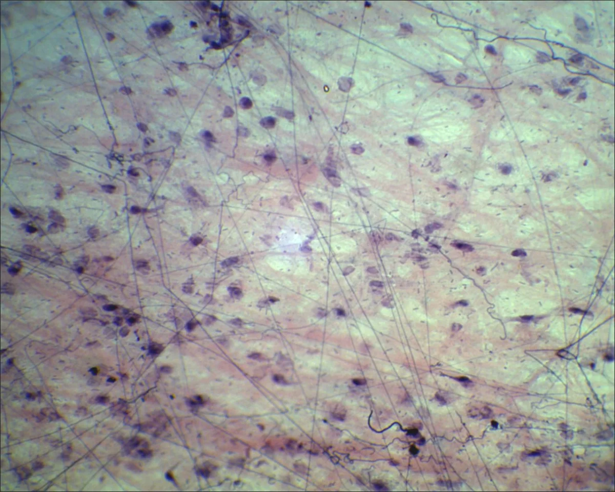 Видеоокуляр DCM-130M