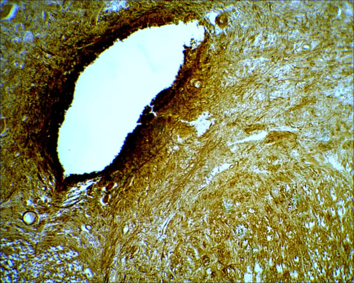 Видеоокуляр DCM-130M