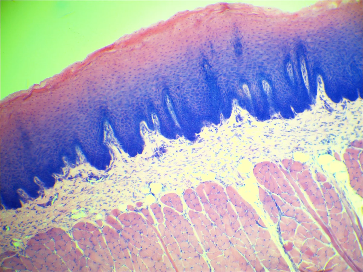 Видеоокуляр DCM-510 SCOPE
