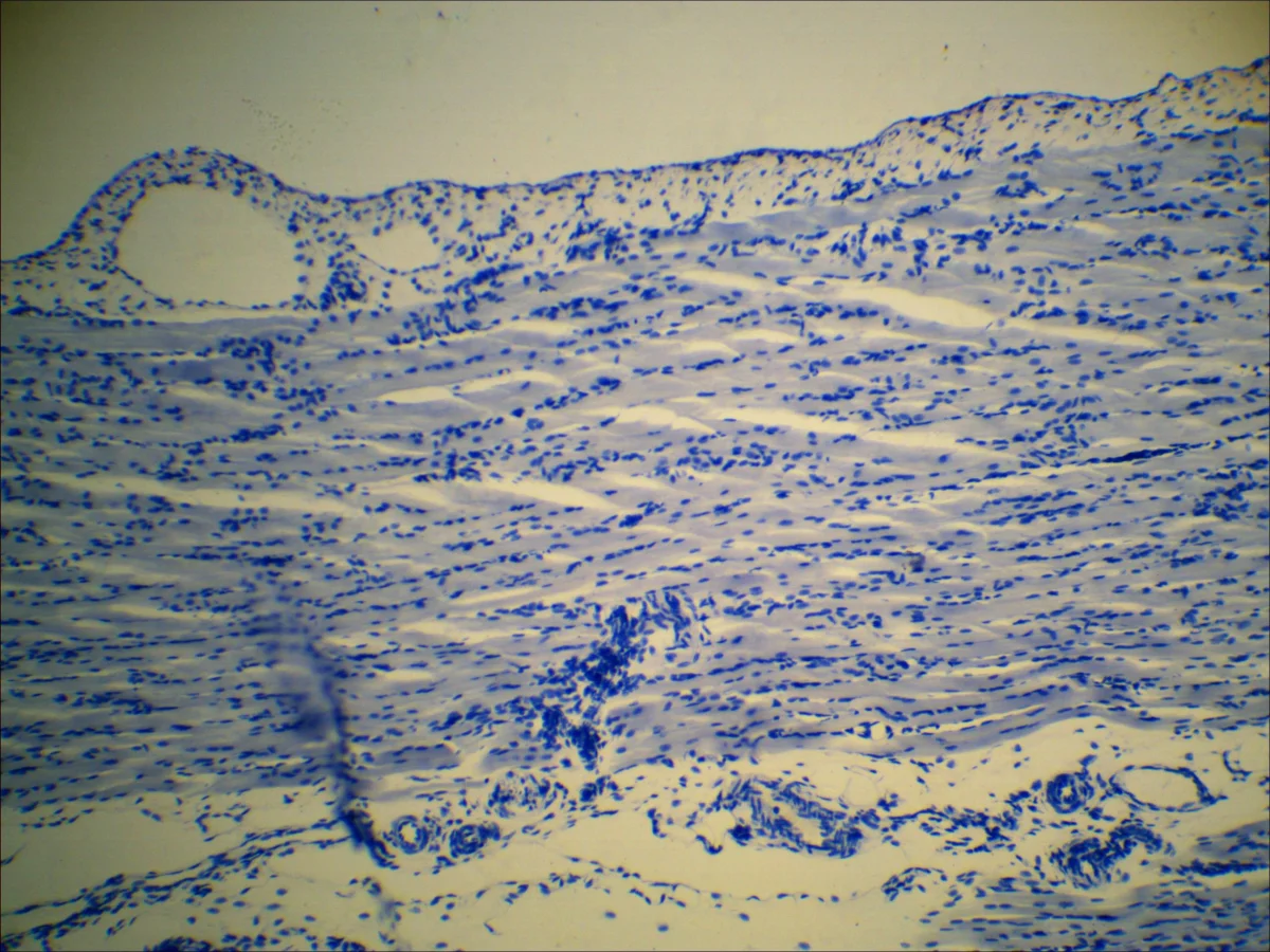 Видеоокуляр DCM-510 SCOPE