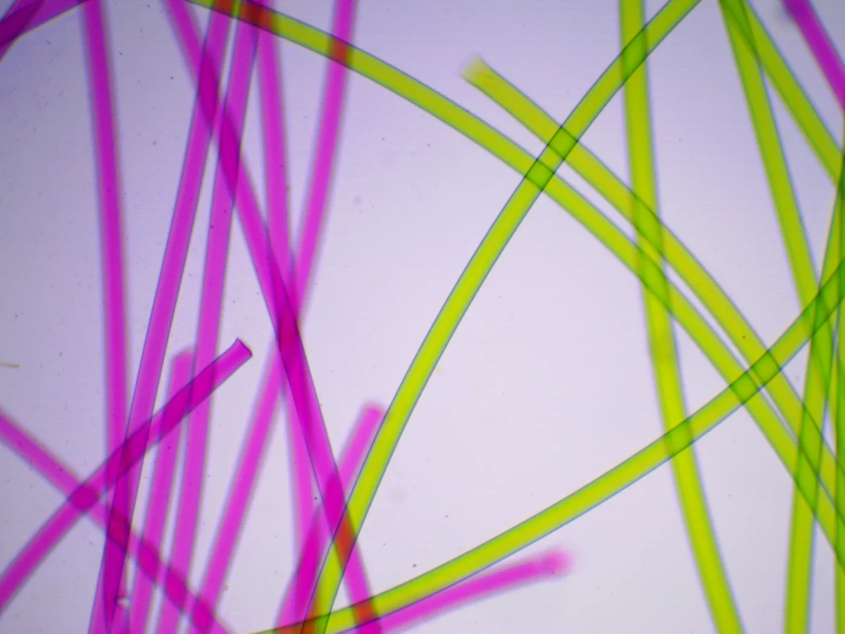 Видеоокуляр ToupCam 5.1 MP