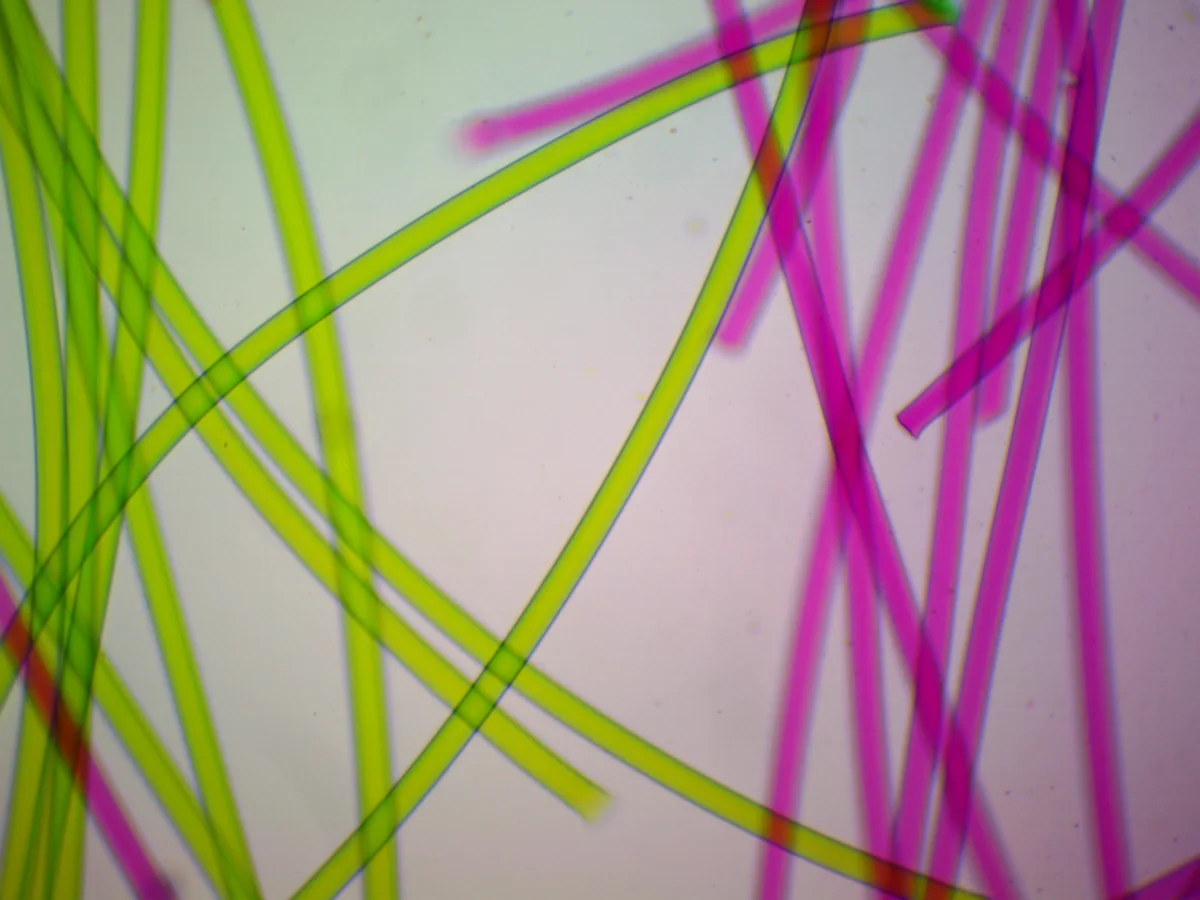 Видеоокуляр ToupCam 9.0 MP