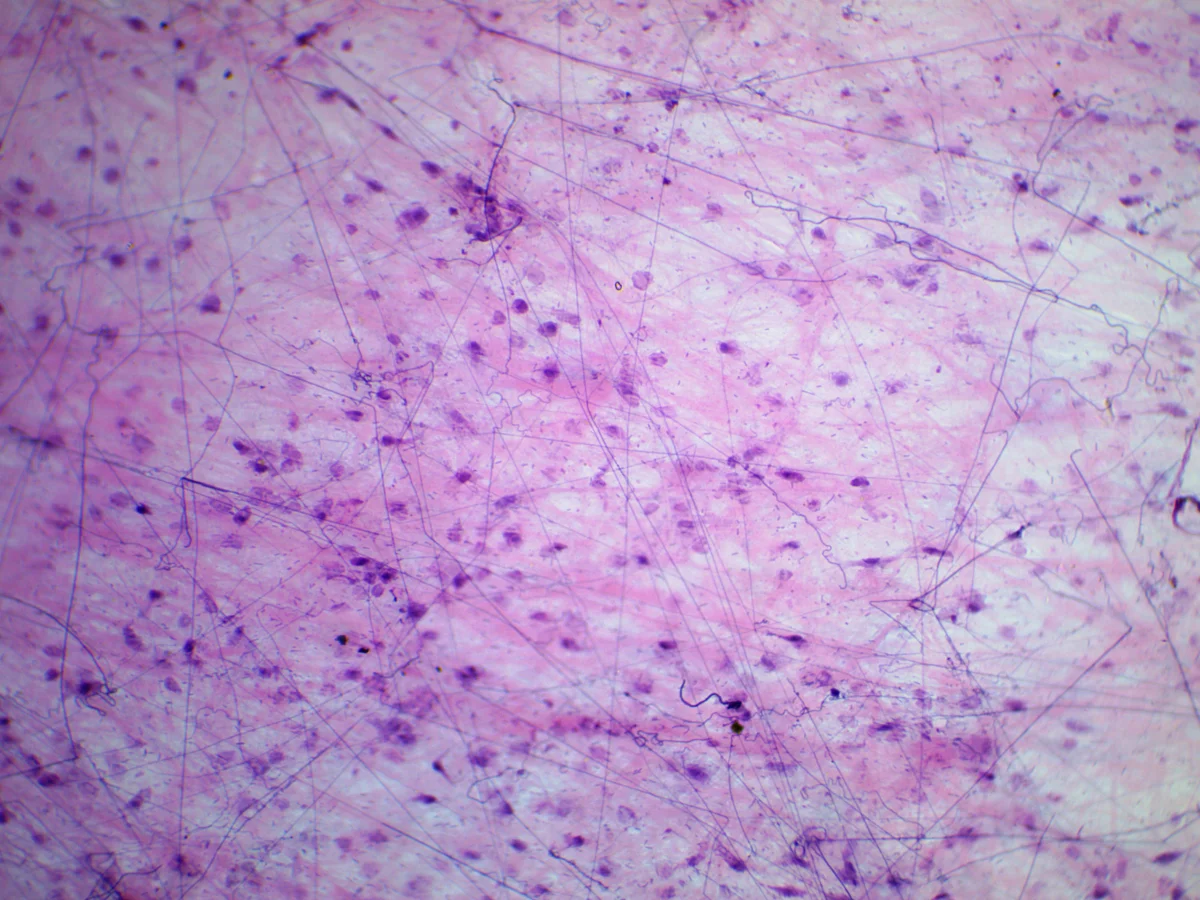 Видеоокуляр ToupCam 9.0 MP