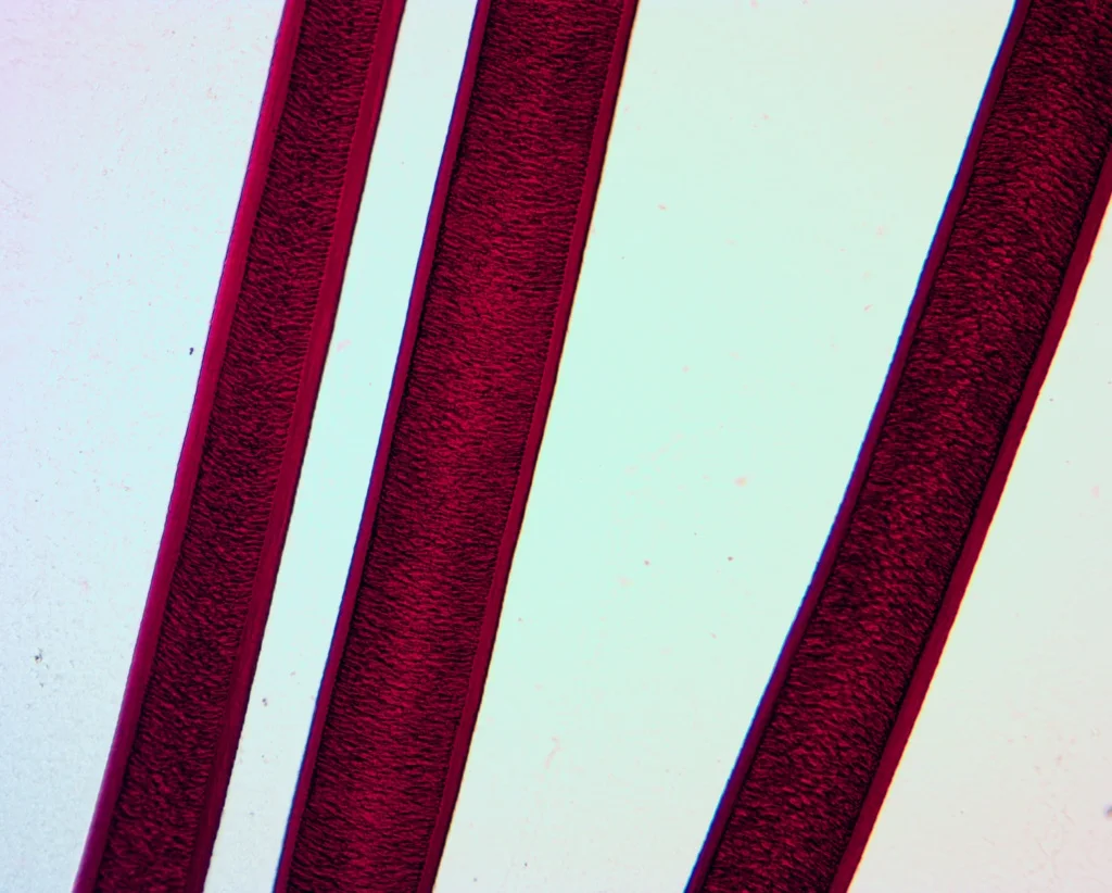 Видеоокуляр ToupCam UCMOS14000KPA